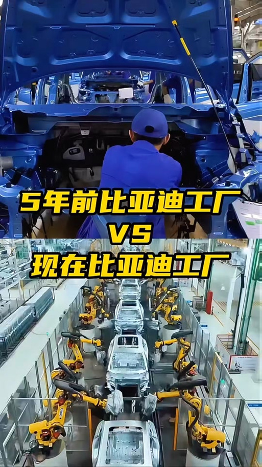 职选信息咨询工作室的抖音